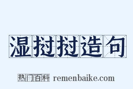 湿挝挝造句是什么意思的图片